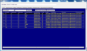 Ansicht DiNG System