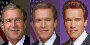 Morph-Effekt bei Bush und Schwarzenegger
